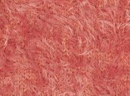212696-PY7050-212-Coral